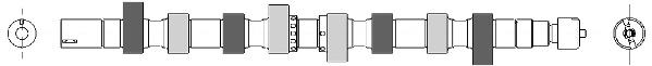  Árboles de levas Renault 19 1