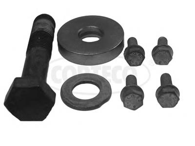 Perno de la polea del cigüeñal Citroen Berlingo (M)
