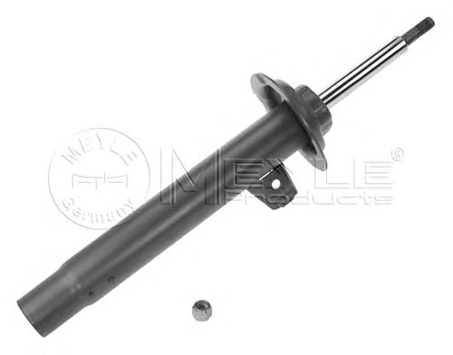 Comprar RS317548 Raiso Amortiguador delantero derecho