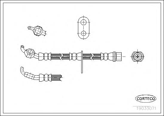 19033071 Corteco