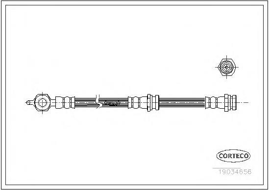 19034656 Corteco