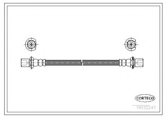 19032247 Corteco