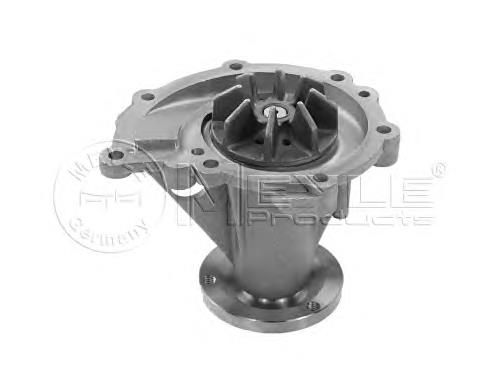 Bomba de agua 7700859931 Renault (RVI)