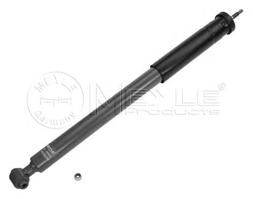 Comprar RS317384 Raiso Amortiguador trasero