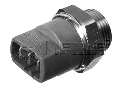Sensor de temperatura 1009598717 Meyle