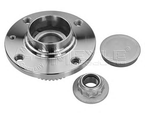 Cubo de rueda trasero 1007520007 Meyle