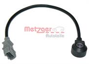 0907013 Metzger