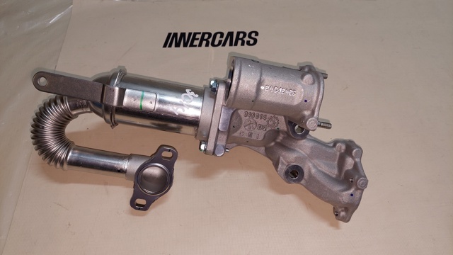 147350718R Manguera Radiador EGR, suministro  comprar en Zaragoza