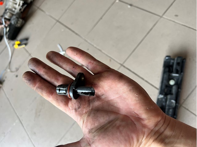 25195556 Sensor de posición del árbol de levas  comprar en Zaragoza