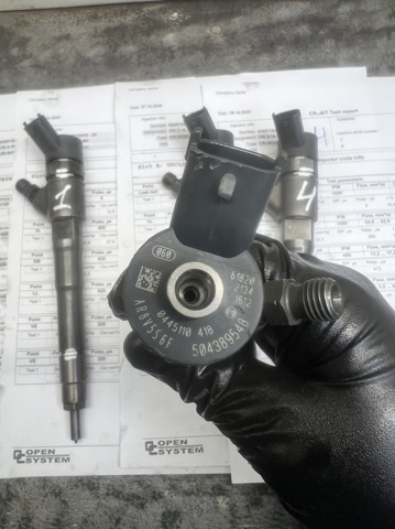 0445110418 PEUGEOT Inyector  en stock Huelva