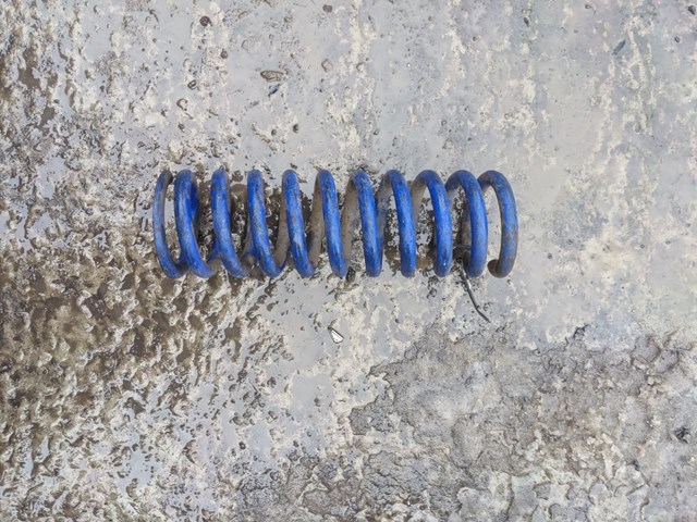 A1243211904 Muelle de suspensión eje delantero  disponible Utrera