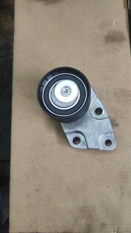 INA 531021330 Rodillo, cadena de distribución  comprar en Albacete