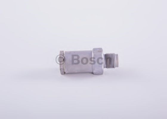 Regulador de presión de combustible, rampa de inyectores 1110010020 Bosch