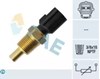 Sensor de temperatura de agua 33755 FAE