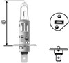 Lámpara halógena 8GH002089131 HELLA