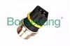 Sensor de temperatura del refrigerante B13134 BORSEHUNG