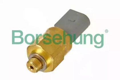 Sensor para bomba de dirección hidráulica B13135 Borsehung