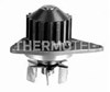 Motor de agua D1P038TT THERMOTEC