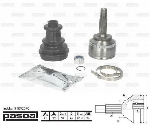 Junta homocinética exterior delantera G1R025PC Pascal