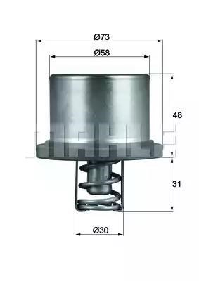 Termostato, refrigerante THD289 Mahle Original