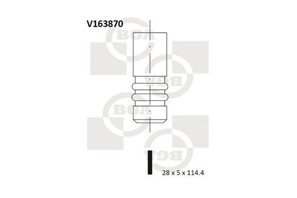 Válvula de admisión V163870 BGA