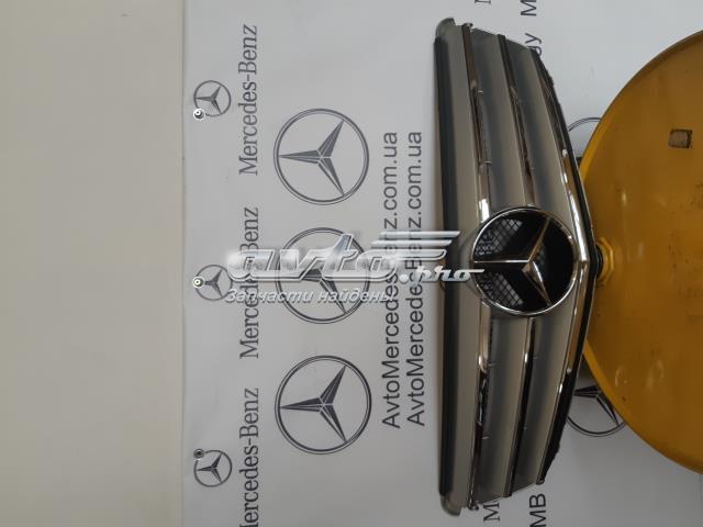 A2048800023 Panal de radiador  disponible Burgos