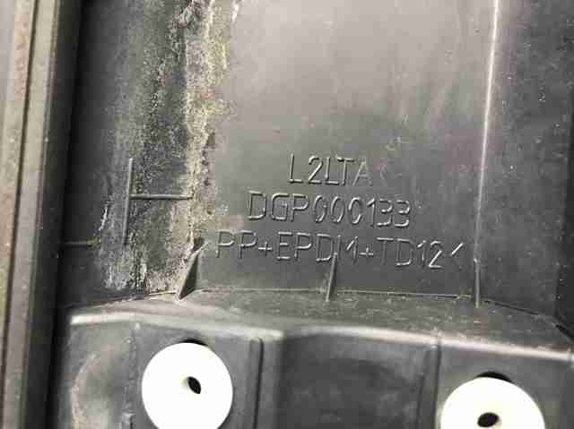 Moldura de puerta delantera izquierda inferior DGP000133PCL Land Rover