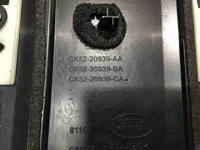 Moldura de la puerta delantera izquierda LR074636 Land Rover