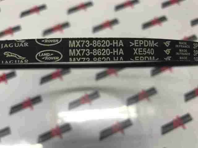 MX738620HA Jaguar