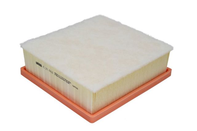 C21002 Filtro de aire  disponible Utrera