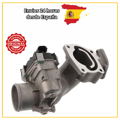 504099669 Iveco