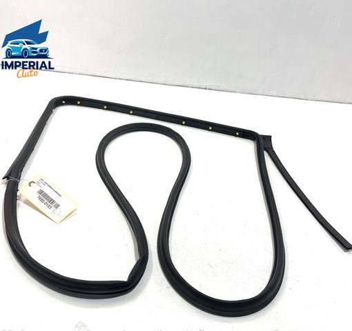 Junta de puerta trasera izquierda (en puerta) 55399215AE Chrysler