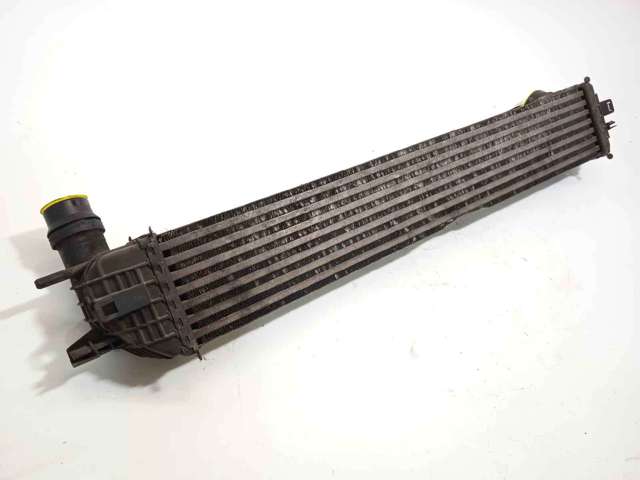 144610001N Renault (RVI)