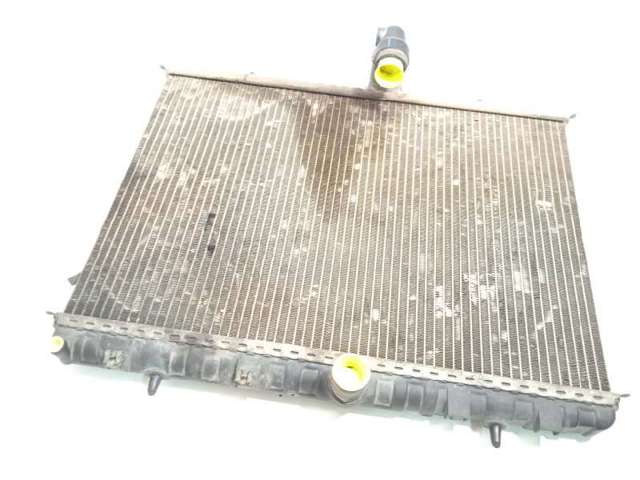 1498986080 Peugeot/Citroen
