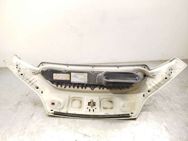 Capó delantero 1612246980 PEUGEOT