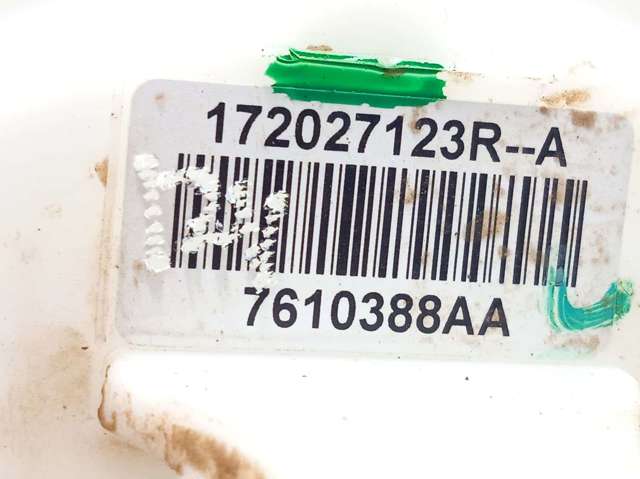 172027123R Renault (RVI)