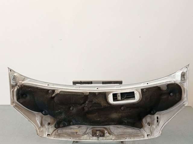 Capó del motor 2454107 FORD