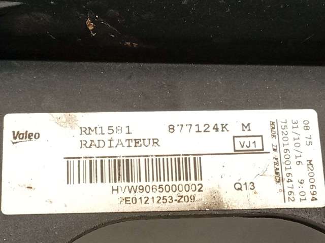 2E0121253 Radiador  en stock Castellón