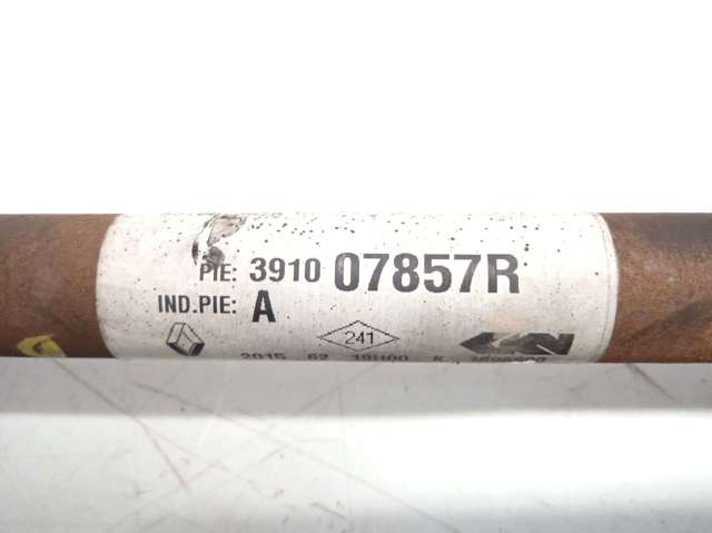 391007857R Renault (RVI)
