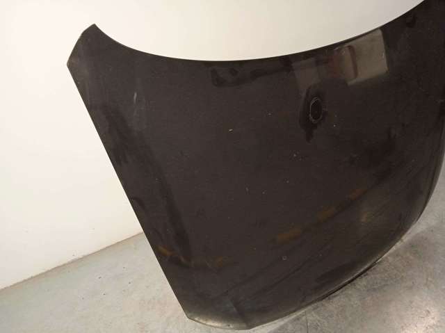 Capot 3C0823031C VAG