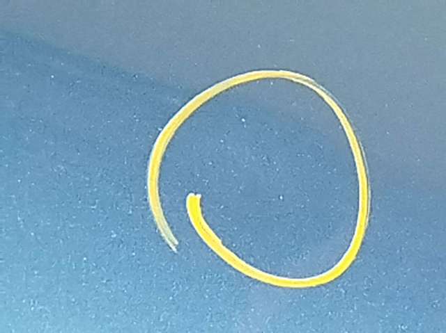 41007327446 BMW