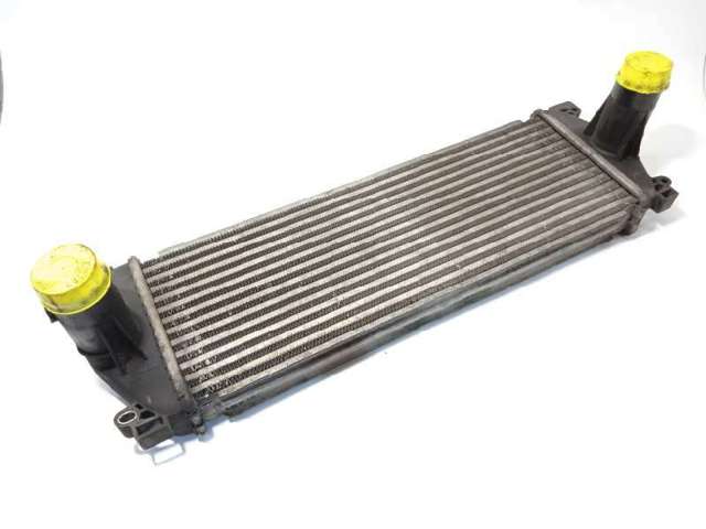 5010619437 Renault (RVI)