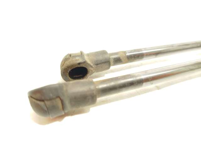 Comprar Amortiguador de puerta trasera 1  F20