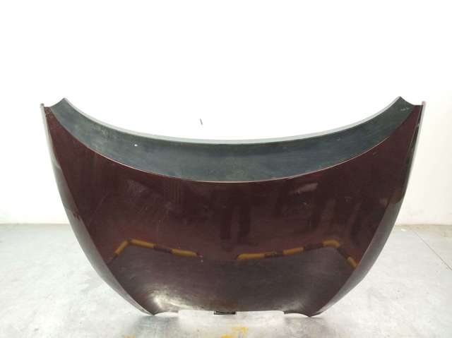 Capot para Seat Altea (5P1)