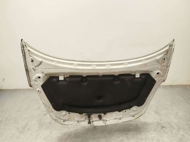 OPEL 93189647 Capó  comprar en Ponferrada