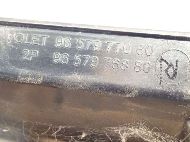 9657977080 Peugeot/Citroen