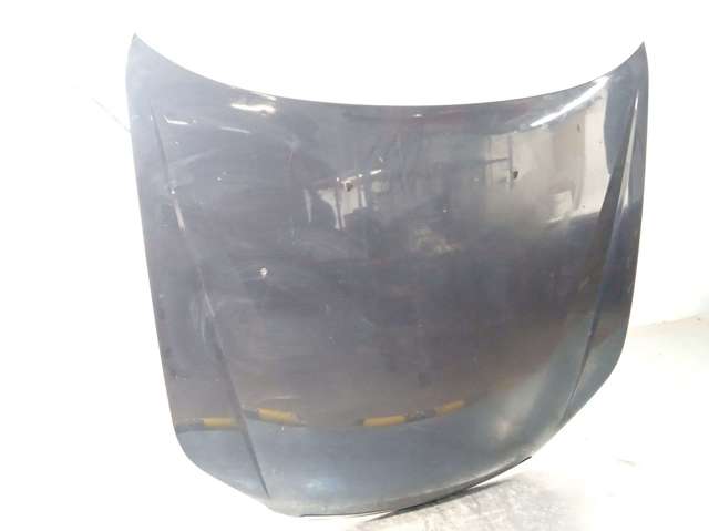 Capó delantero 96636344 GM