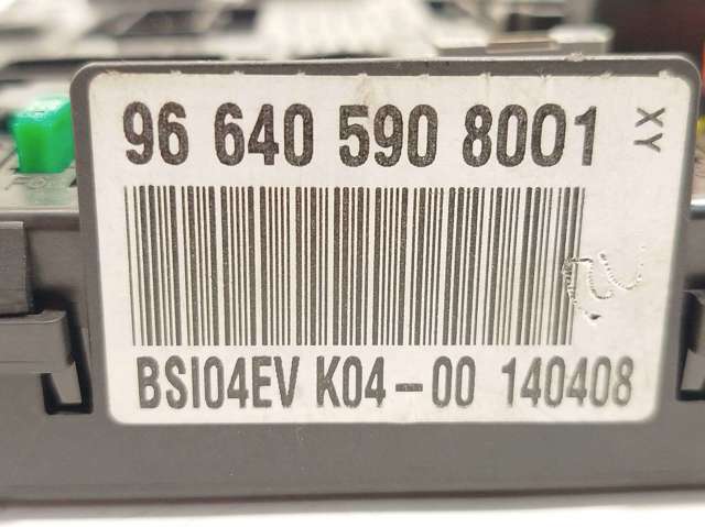 9664059080 Peugeot/Citroen
