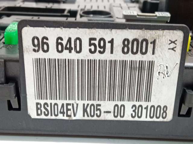 9664059180 Peugeot/Citroen