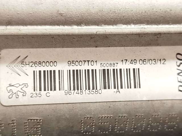 9674813580 Peugeot/Citroen